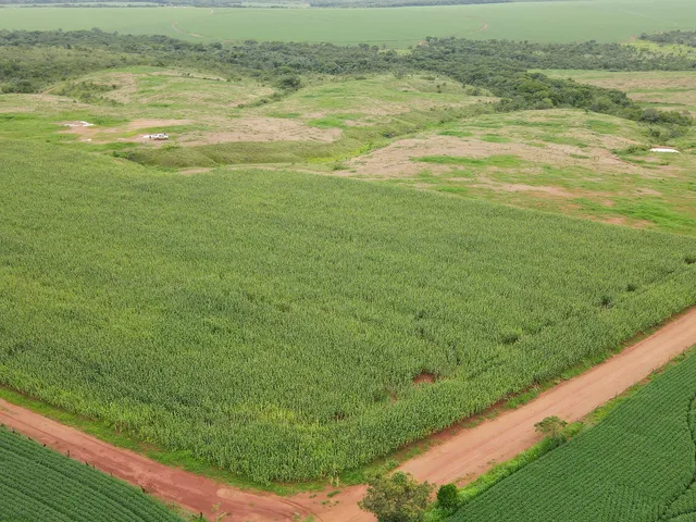 Imagem: Fazenda Dupla Aptidão em Coromandel