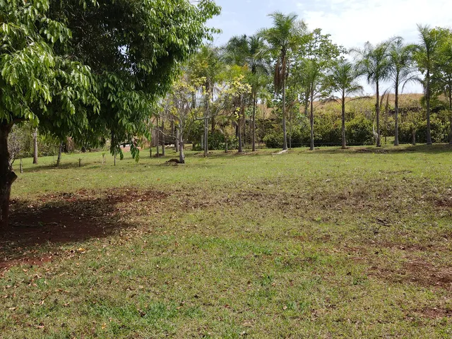 Imagem 6: CHÁCARA AS MARGENS DA REPRESA DE MIRANDA