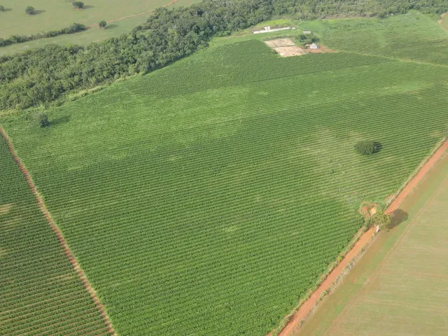Imagem: EXCELENTE FAZENDA CAFEEIRA EM PATROCÍNIO-MG
