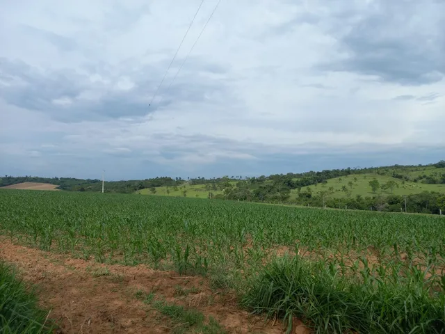 Imagem: FAZENDA PARA PLANTIO NA REGIÃO DE SILVANO