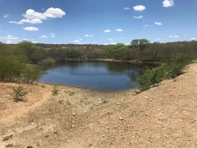 Imagem: Fazenda em Acari