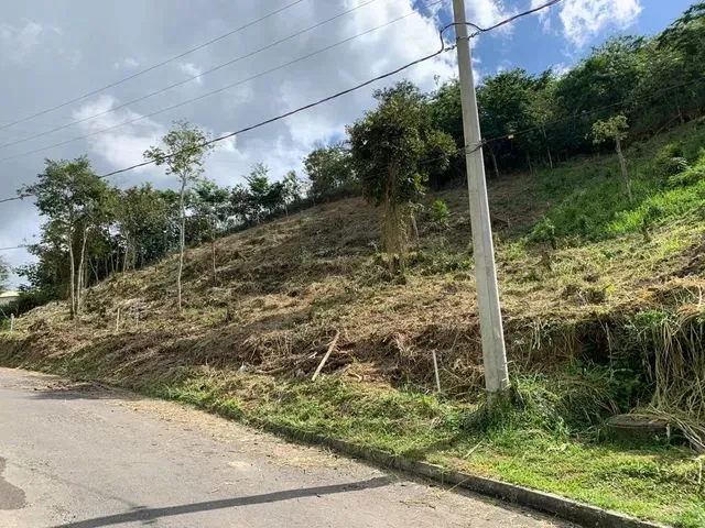 Imagem: Terreno Bairro Veneza Park 100 Legalizado