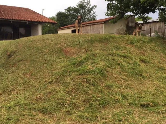Imagem 6: Sítio-Chácara-Rural com 3 Dormitorio(s) localizado(a) no bairro Barro Vermelho em