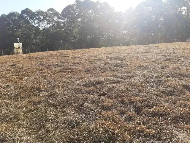 Imagem: Vende-Se Terreno Perfeito para Área de