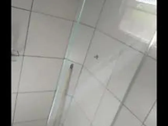 Imagem: Gp7 Casa para Aluguel e Venda Federação