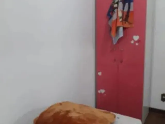 Imagem 2: Alugo Vagas para Moças