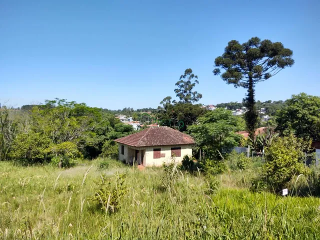 Imagem 2: Terreno com 3 Dormitorio(s) localizado(a) no bairro Centro em Ivoti / Rio Grande do Sul
