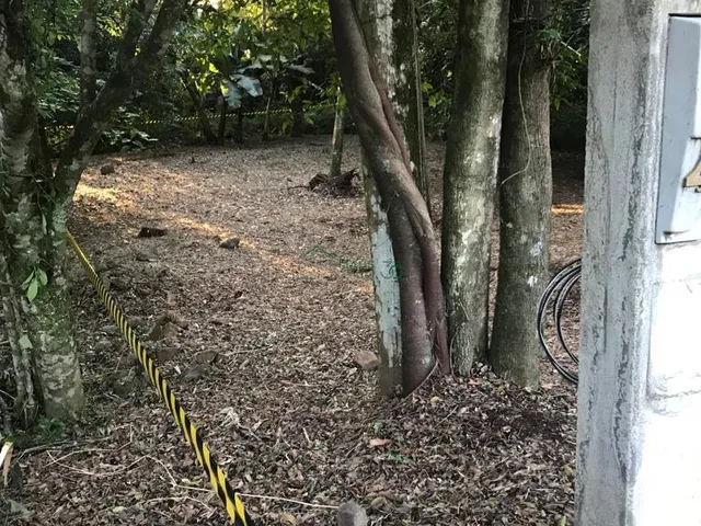 Imagem 10: Terreno com 5 Dormitorio(s) localizado(a) no bairro Cidade Nova em Ivoti / Rio Grande do