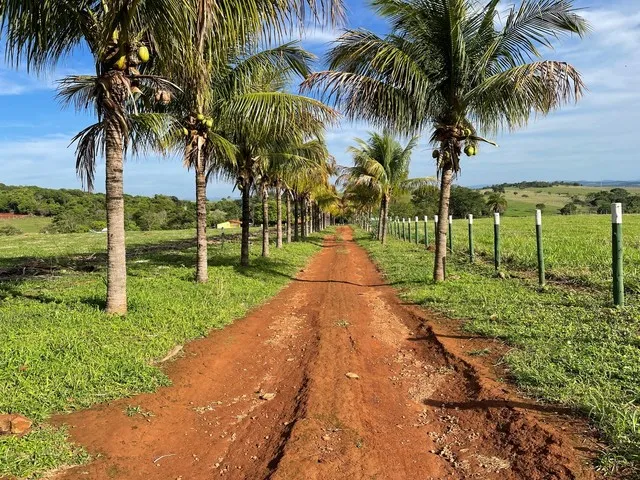 Imagem: Chácara de 02 Alqueires e 27 Litros em