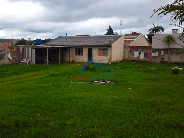 Imagem: Terreno Terreno em Eucalíptos, Fazenda