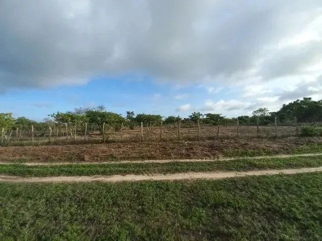 Imagem: Vendo Terreno Excelente para Fazer Uma Chácara