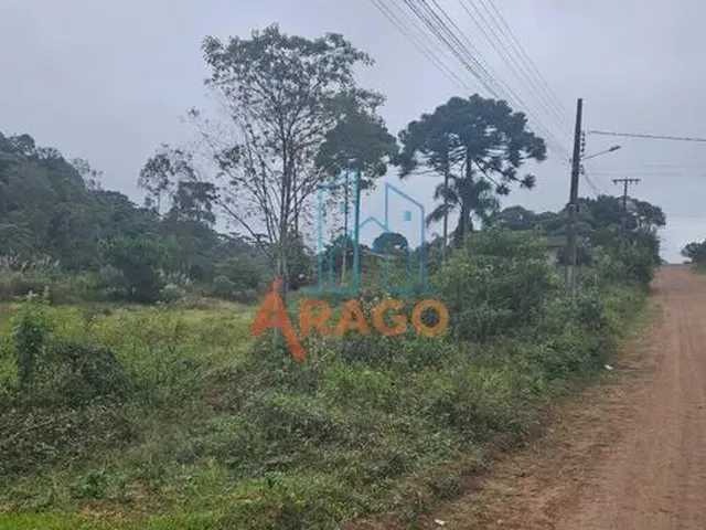Imagem: Terreno para Venda, Serra Alta, São Bento