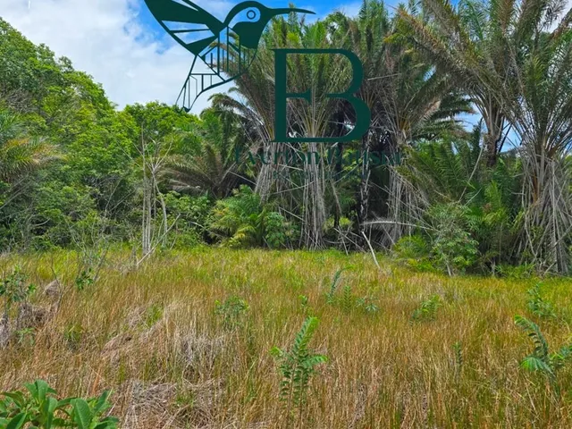 Imagem 6: TERRENO RURAL em ILHA DE ITAMARACÁ - PE, Praia de Sossego