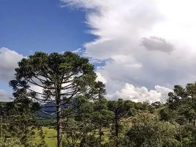 Imagem: Terreno 4Mil Metros Quadrado