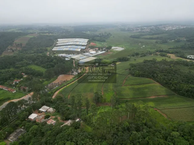 Imagem: SÍTIO EM COTIA,IBIÚNA SP COD 5958 F