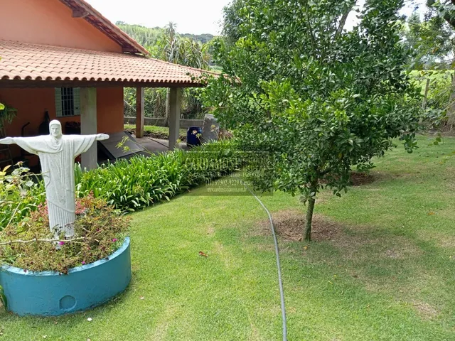 Imagem 7: EXCELENTE PESQUEIRO EM IBIÚNA COD: 5526 F:(11) 97302-9229 CESAR