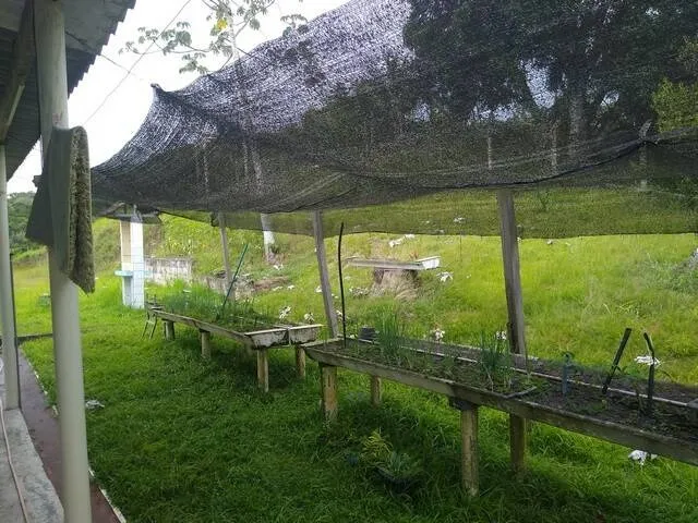 Imagem 2: ENCANTADORA CHÁCARA EM ITARIRI, LAGO, CAPELA COD: 5227 F:(11) 97302-9229 CESAR