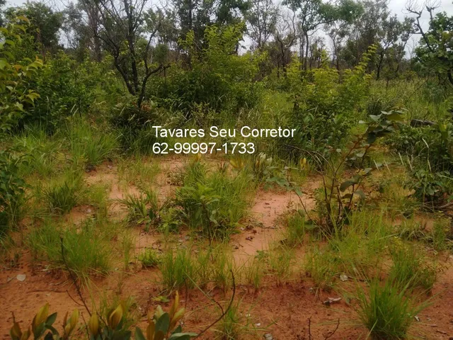 Imagem 2: Fazenda Rural em Lizarda - To, Zona Rural
