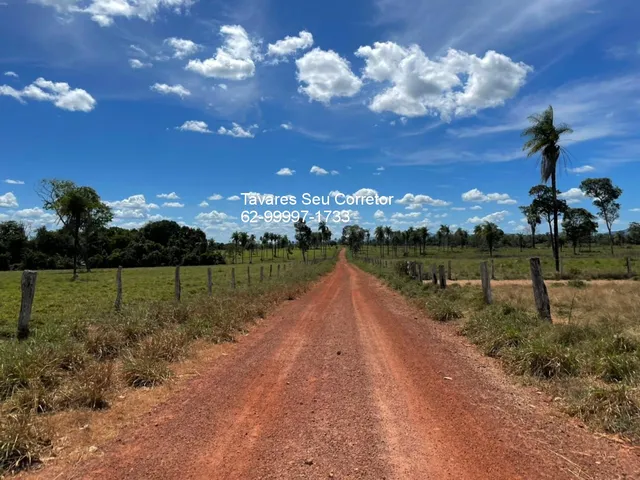 Imagem: A fazenda possui Imóvel mobiliado e está localizado em Setor