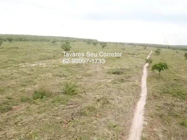 Imagem: A fazenda está localizado em Zona Rural, Balsas à venda