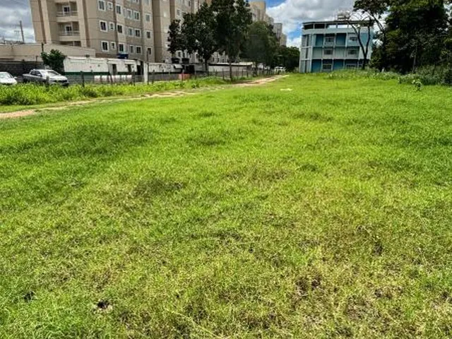 Imagem 4: Chácara no Bairro Jardim das Palmeiras