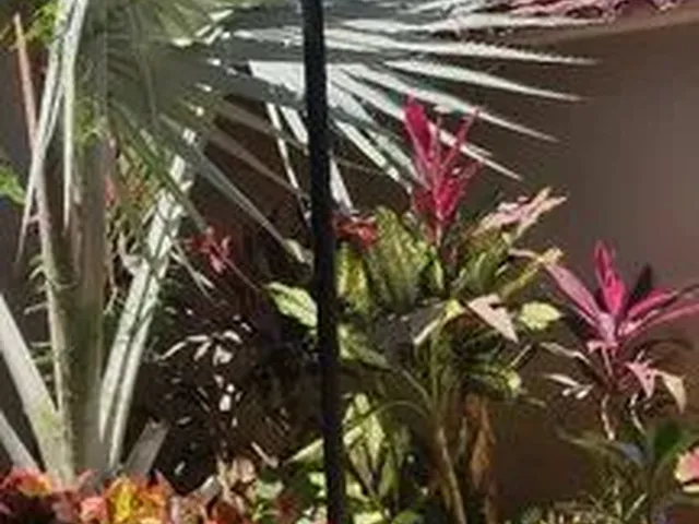 Imagem 14: Vendo Casa Zerao. Piscina, Churrasqueira, 300m² de Áreae4 Vagas na...