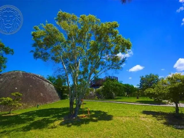 Imagem 6: Florianópolis - Casa Padrão - Campeche