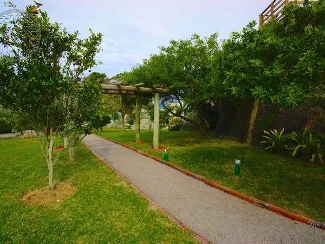 Imagem 2: Florianópolis - Casa Padrão - Campeche
