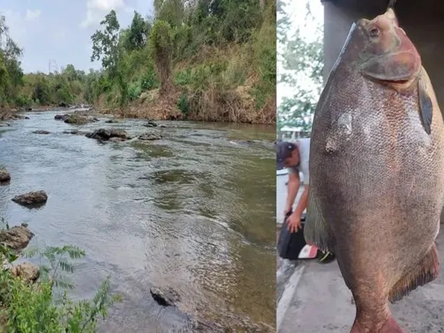 Imagem 3: Vendo Chácaras em Condomínio, Rio Verde