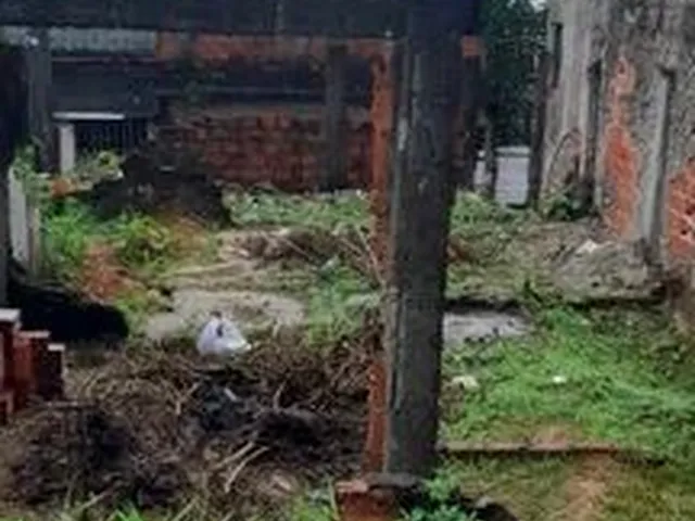 Imagem: Terreno em Ilha de Bom Despacho