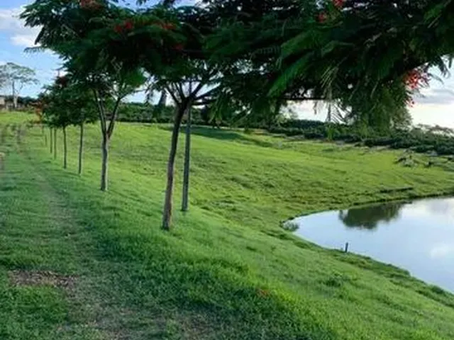 Imagem 12: Vende-Se Belíssima Propriedade para Lazer e Renda Á 5,5 Km de...
