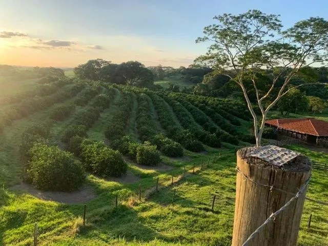 Imagem 6: Vende-Se Belíssima Propriedade para Lazer e Renda Á 5,5 Km de...
