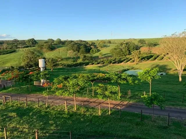 Imagem 7: Vende-Se Belíssima Propriedade para Lazer e Renda Á 5,5 Km de...