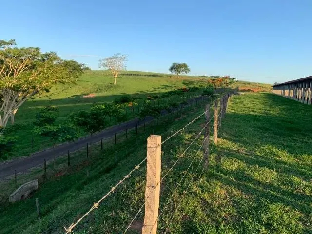 Imagem 3: Vende-Se Belíssima Propriedade para Lazer e Renda Á 5,5 Km de...