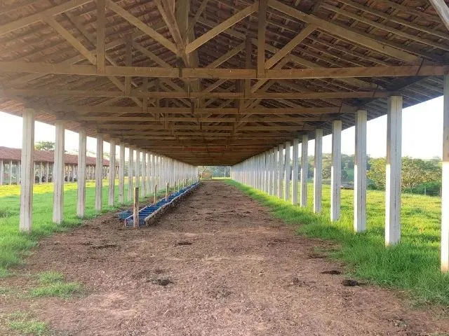 Imagem 4: Vende-Se Belíssima Propriedade para Lazer e Renda Á 5,5 Km de...