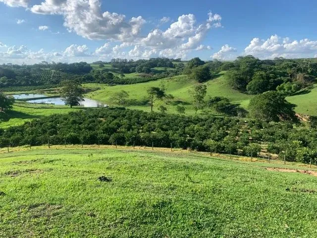 Imagem 13: Vende-Se Belíssima Propriedade para Lazer e Renda Á 5,5 Km de...