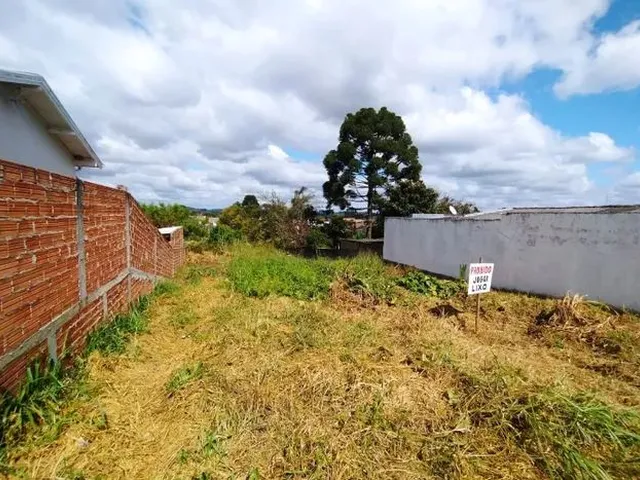 Imagem: Terreno na Jardim América