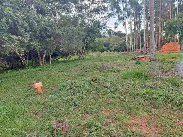 Imagem: Terreno de 2 Mil M² em Cesário Lange