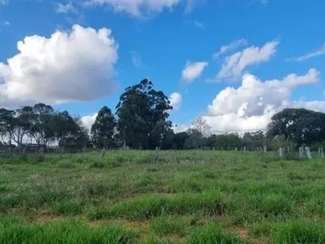 Imagem: Velleda Oferece Lindíssimo Sítio 2500M²