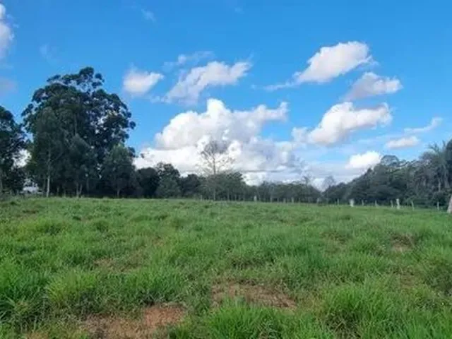Imagem 4: Velleda Oferece Lindíssimo Sítio 2500M², Pronto para Construir e Aproveitar do Lazer
