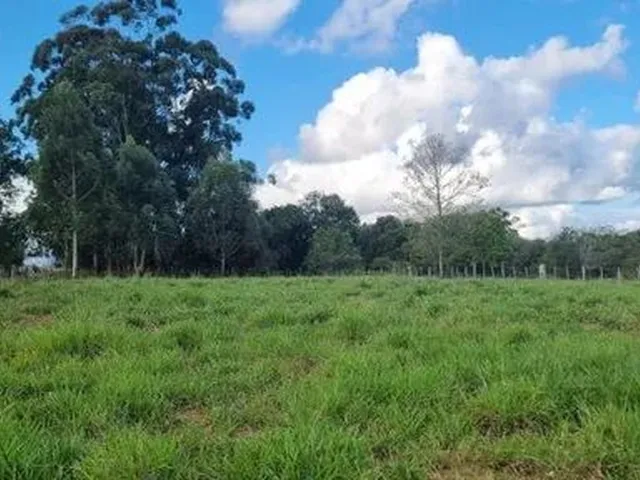 Imagem 6: Velleda Oferece Lindíssimo Sítio 2500M², Pronto para Construir e Aproveitar do Lazer