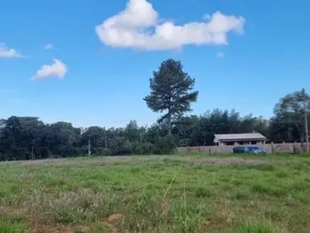 Imagem 5: Velleda Oferece Lindíssimo Sítio 2500M², Pronto para Construir e Aproveitar do Lazer