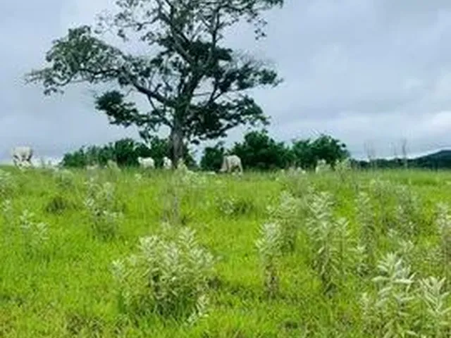 Imagem: Lote/Terreno Documentação 100 Segura