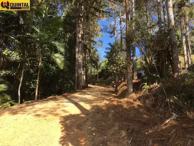 Imagem: Blumenau - Sítio - Itoupava
