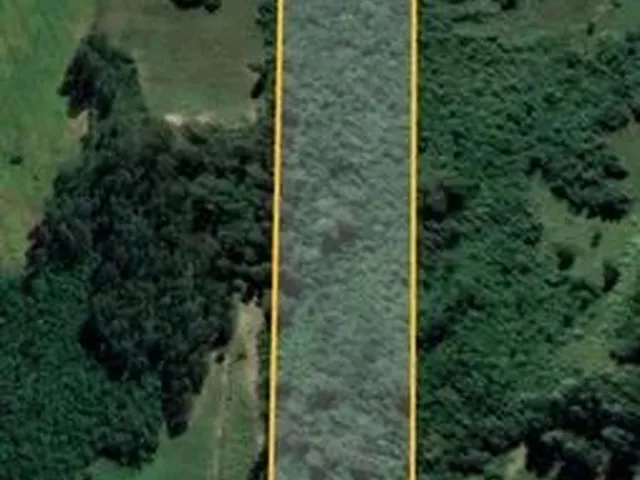 Imagem: 4 Hectares de Terra