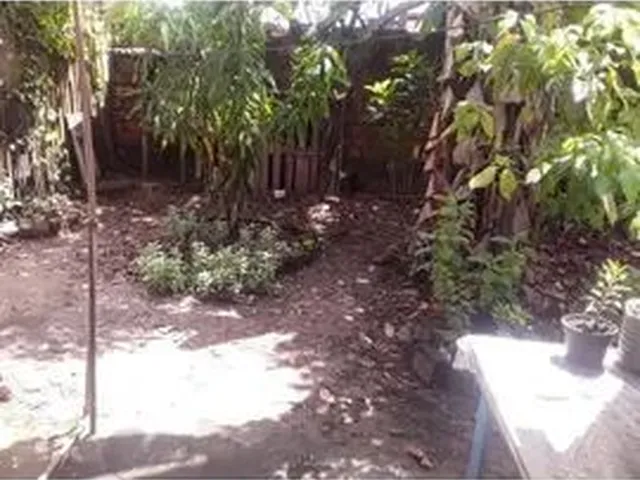 Imagem: Casa Linda