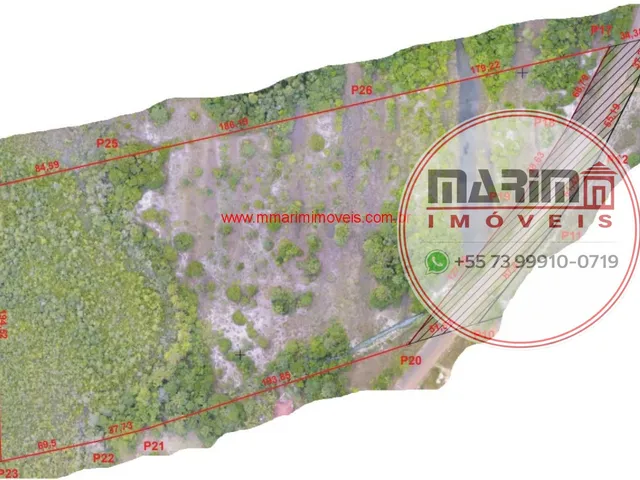Imagem 2: Área com 69.831 m², com 255 metros de frente para a Rodovia BA 001. A 300 metros da