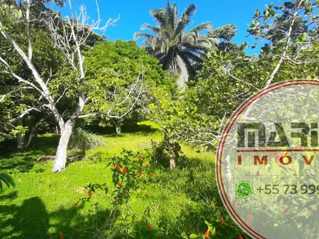 Imagem 12: Sítio à venda com 2 hectares (20.000 m²), com casas construídas, próximo as praias e