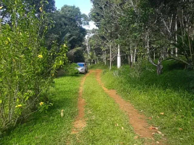 Imagem 15: Sítio à venda com 2 hectares (20.000 m²), com casas construídas, próximo as praias e