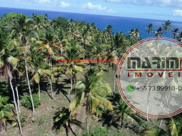 Imagem 6: Área com 30.000 m² no Centro da Vila de Serra Grande/BA